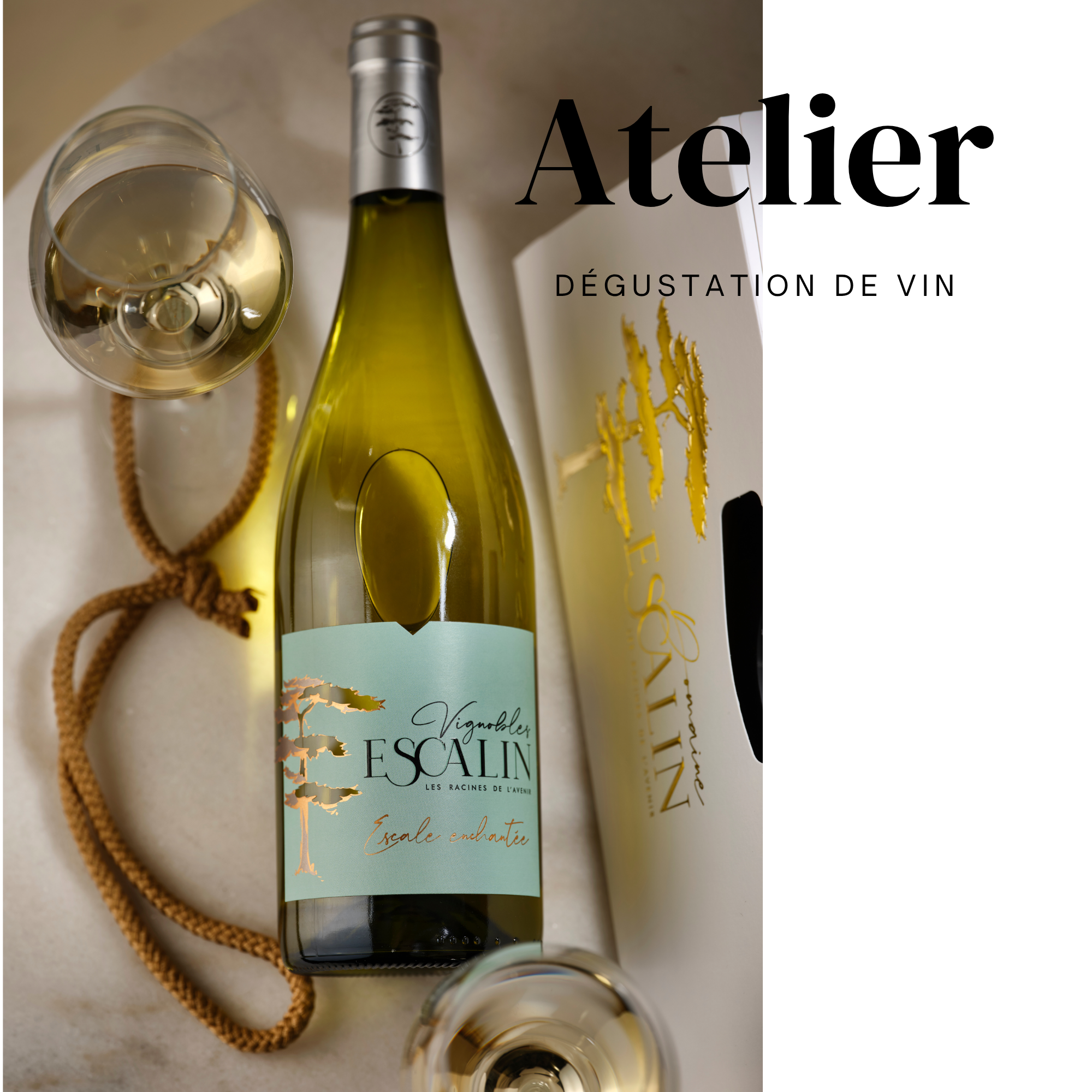 Affiche Événement Sport Trail Montagne Publicitaire (2)